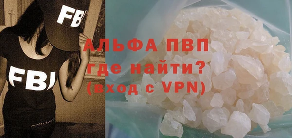 гашик Алексин