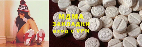 гашик Алексин