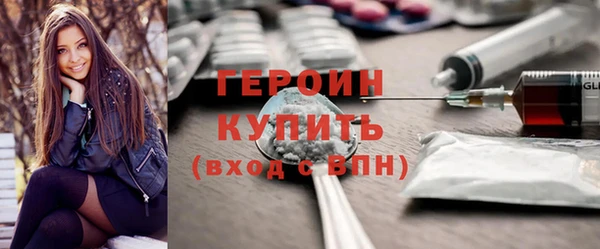 гашик Алексин