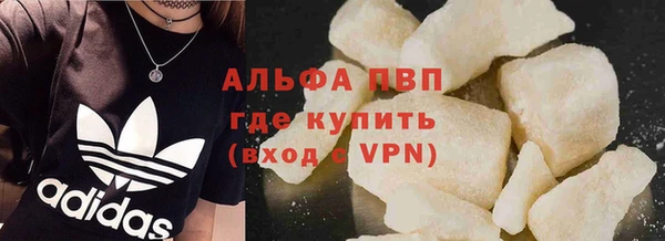 гашик Алексин