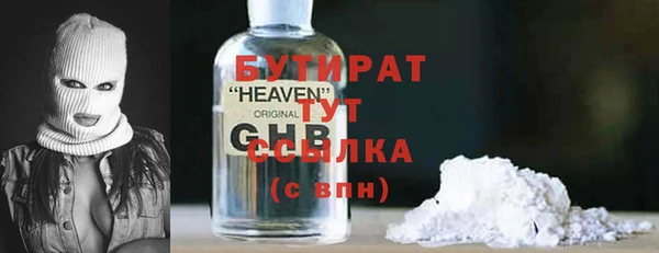 гашик Алексин