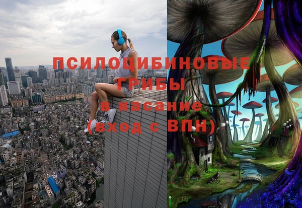 эйфоретик Алексеевка