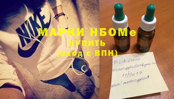 гашик Алексин