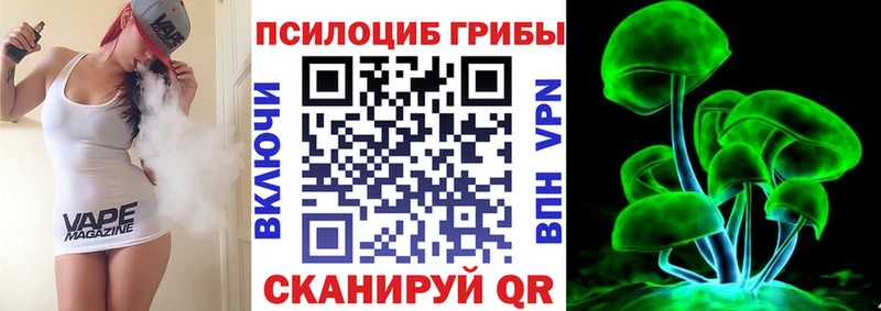 Псилоцибиновые грибы мицелий  Новозыбков 