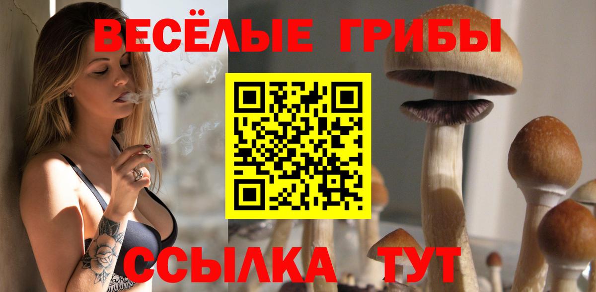 Новозыбков  Псилоцибиновые грибы GOLDEN TEACHER  Вход с VPN 