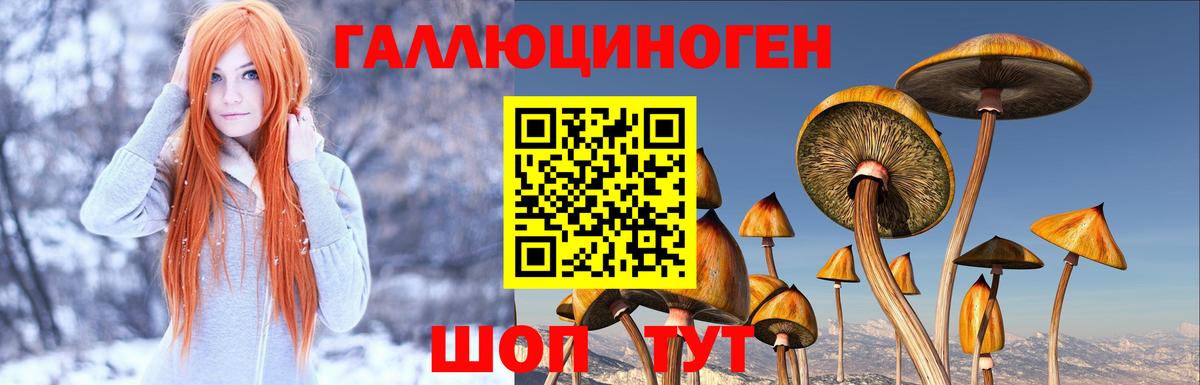 Галлюциногенные грибы MAGIC MUSHROOMS Новозыбков