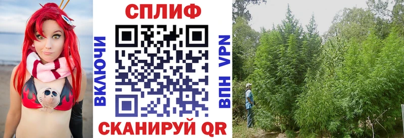 Марихуана гибрид  дарнет шоп  кракен   Новозыбков 